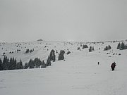 PA260099.JPG