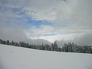 PA260103.JPG