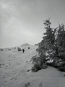 PA260104.JPG