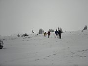 PA260139.JPG
