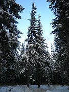 PA260165.JPG