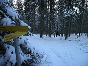 PA260167.JPG