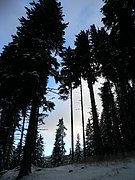 PA260168.JPG
