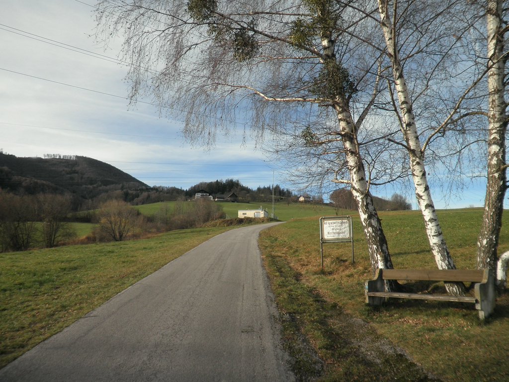 PB250005.JPG