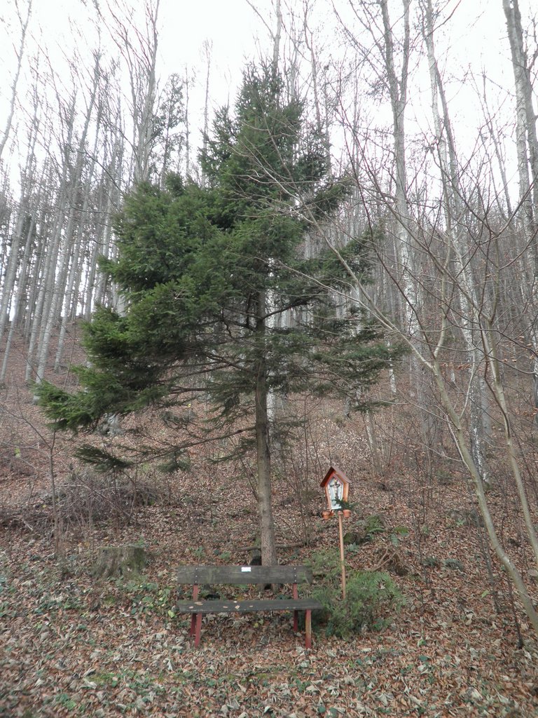 PB250011.JPG