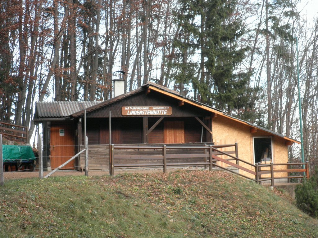 PB250013.JPG