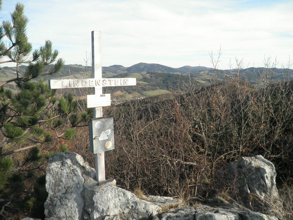 PB250017.JPG