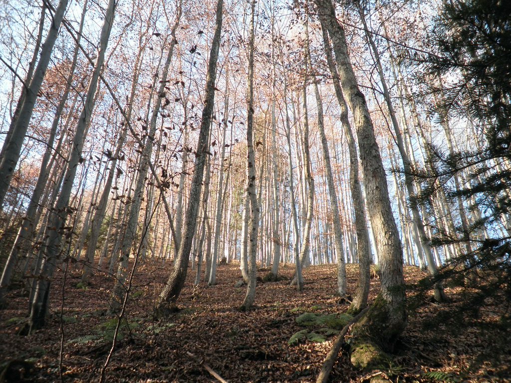PB250021.JPG