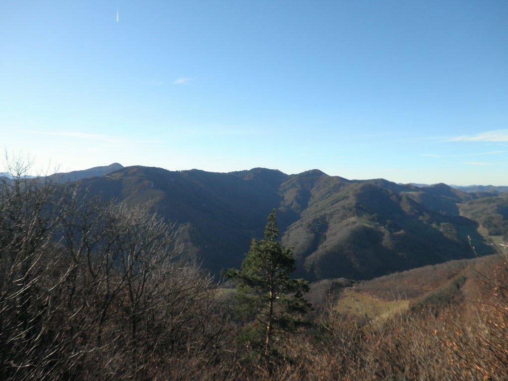 PB250030.JPG