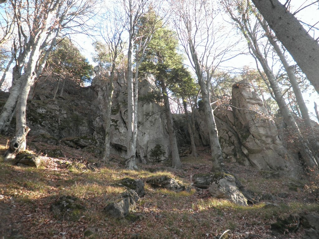 PB250033.JPG