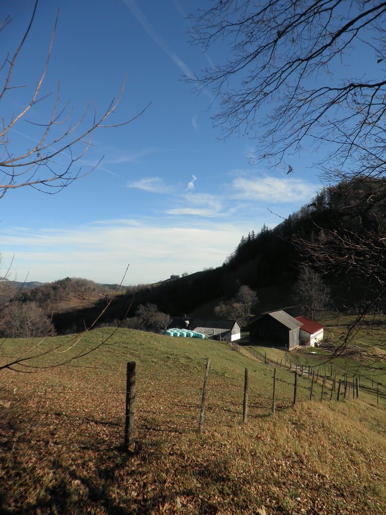 PB250039.JPG