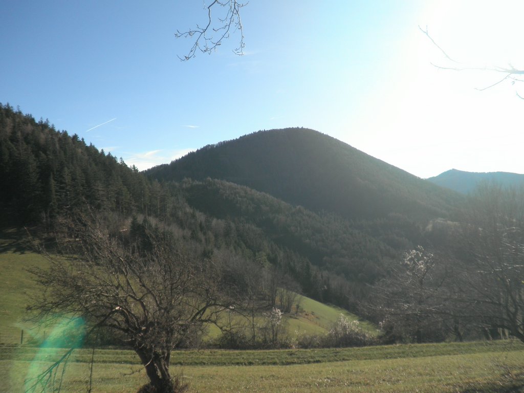 PB250040.JPG
