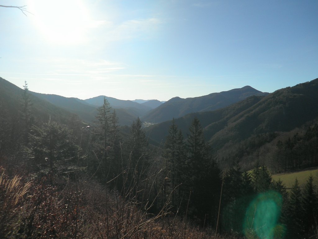 PB250043.JPG