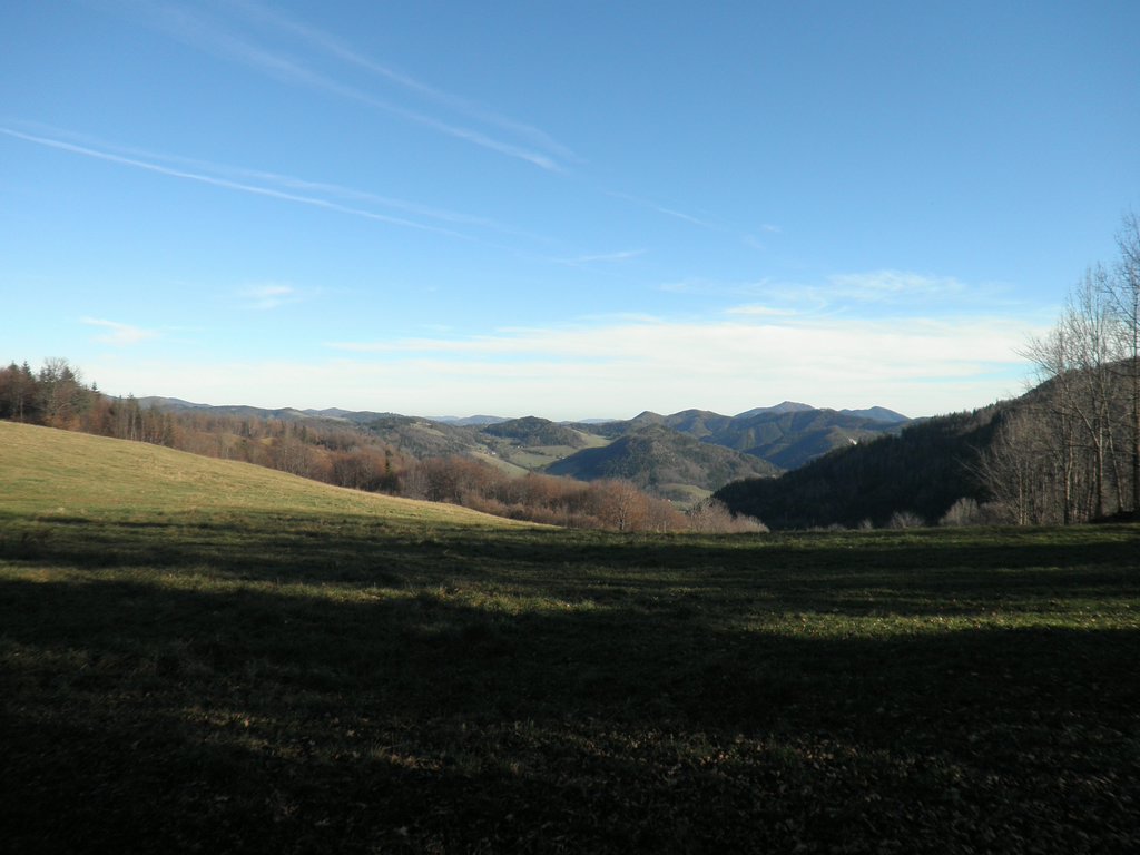 PB250045.JPG