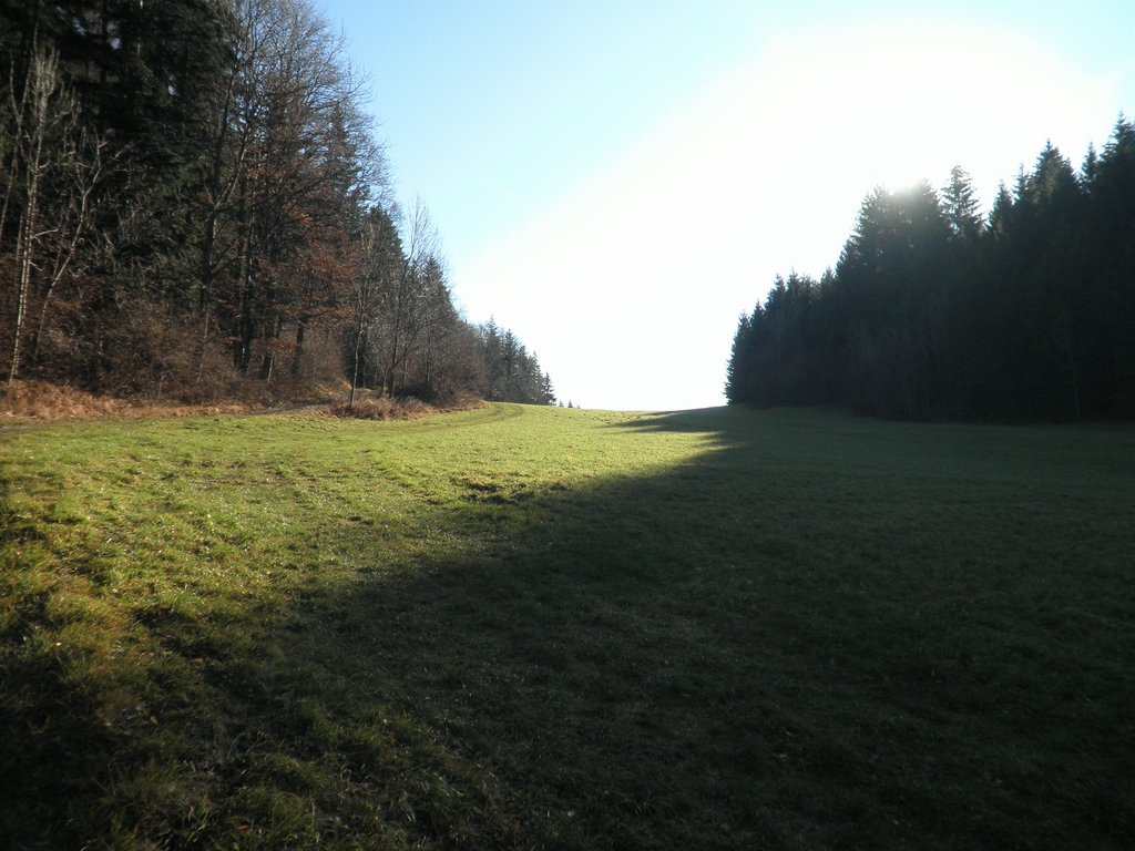 PB250053.JPG