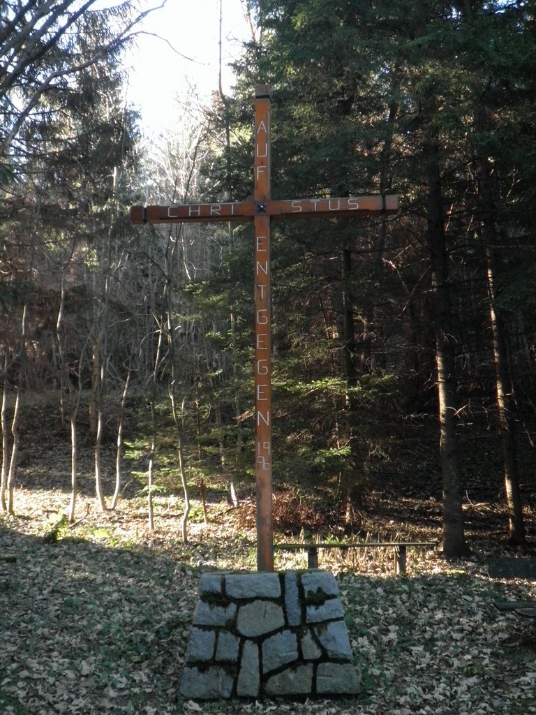 PB250055.JPG