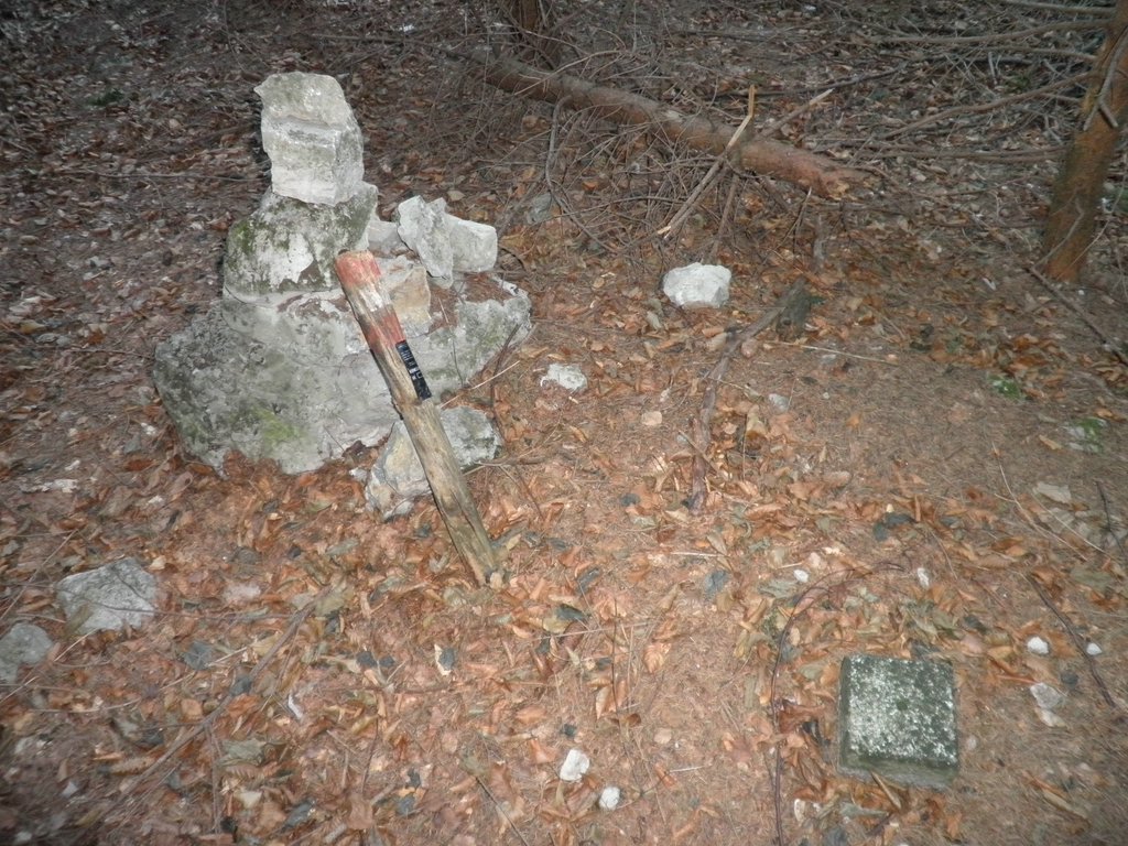 PB250062.JPG