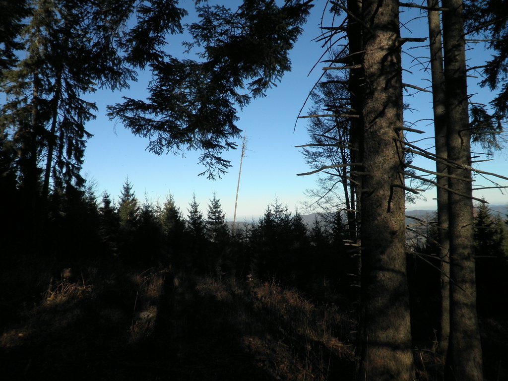 PB250065.JPG