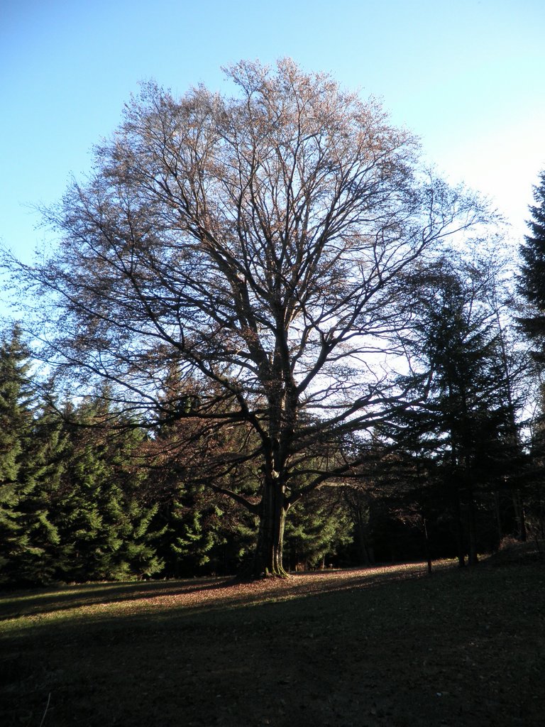 PB250072.JPG
