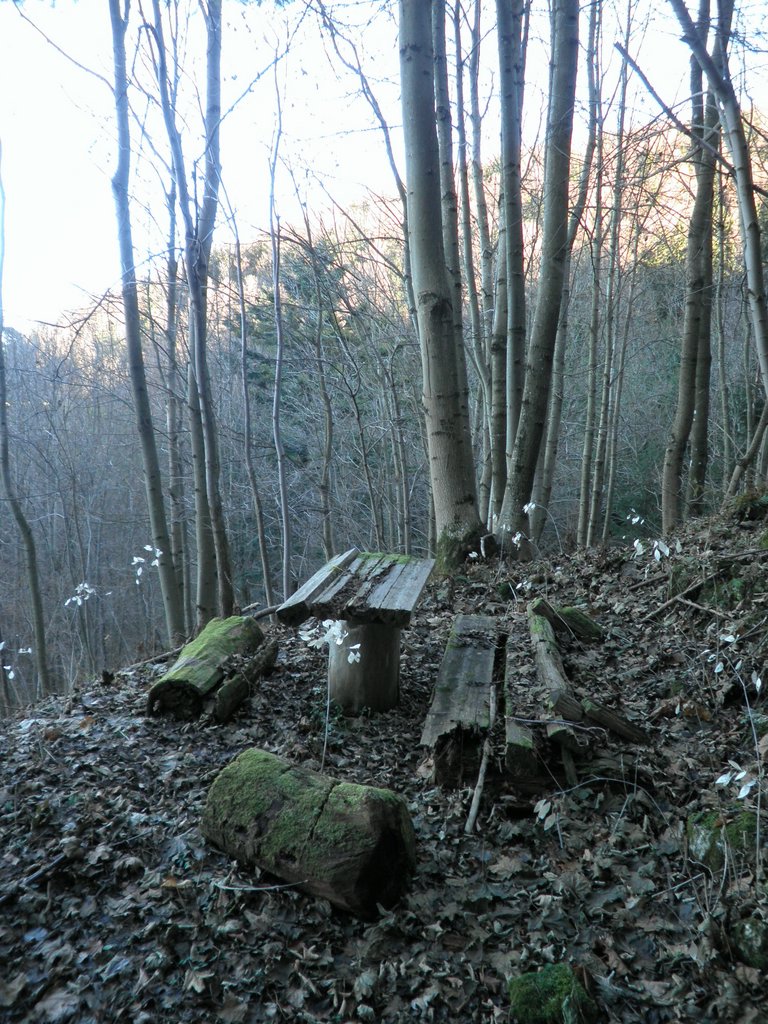 PB250075.JPG