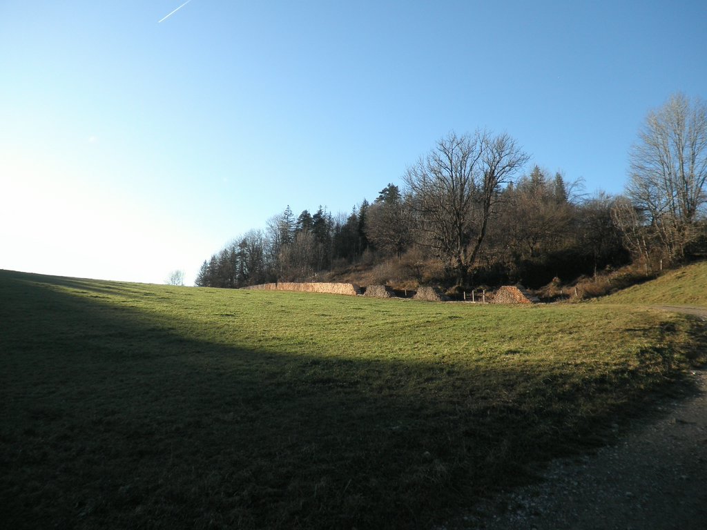 PB250077.JPG