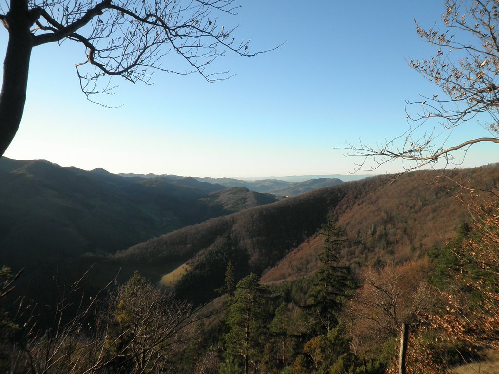PB250082.JPG