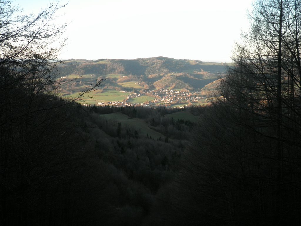 PB250088.JPG