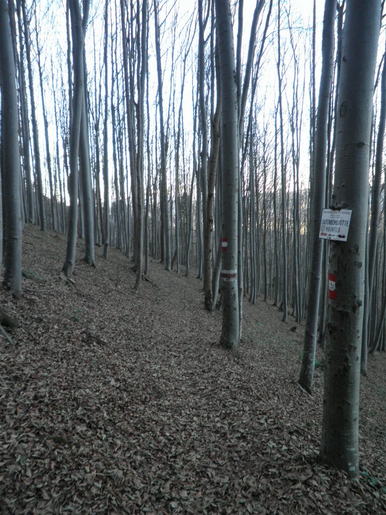 PB250093.JPG
