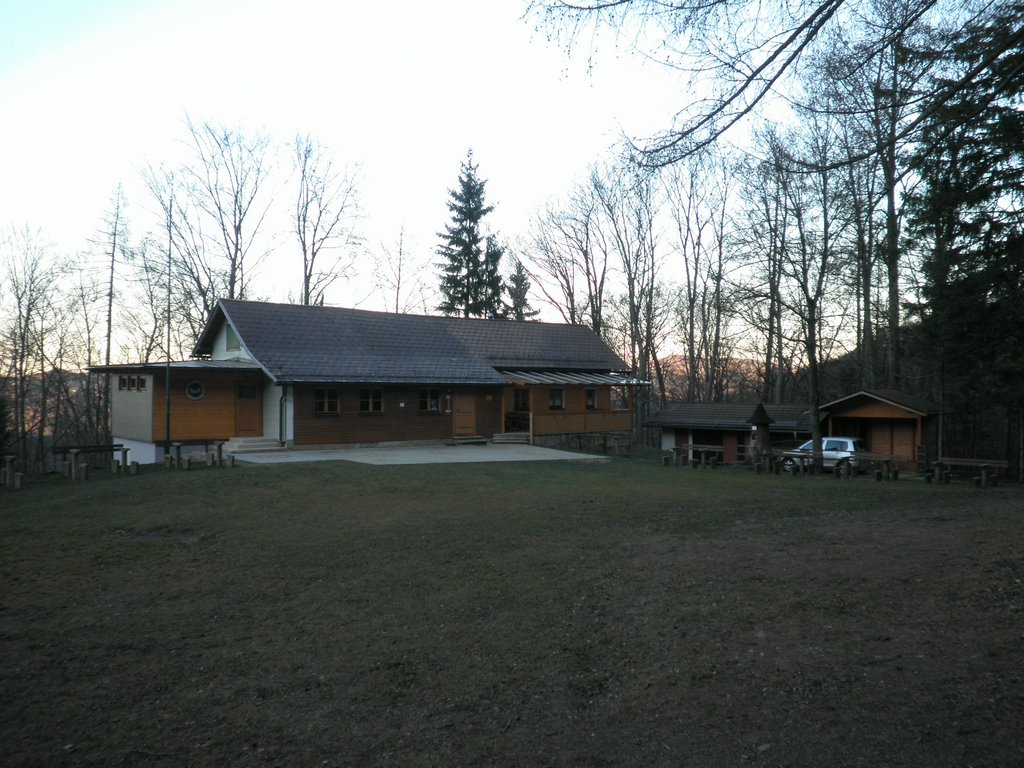 PB250094.JPG