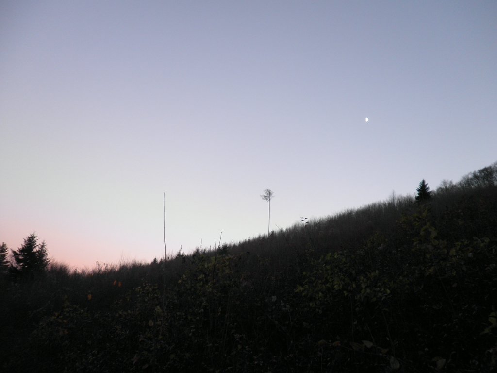 PB250098.JPG