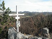 PB250017.JPG