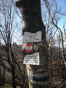 PB250032.JPG