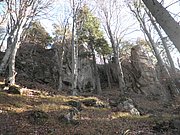 PB250033.JPG