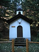 PB250056.JPG