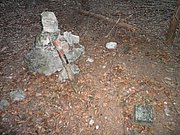PB250062.JPG