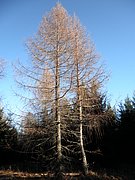 PB250064.JPG
