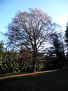 PB250072.JPG