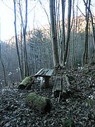 PB250075.JPG
