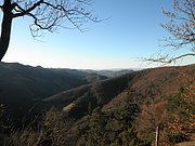 PB250082.JPG