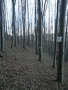 PB250093.JPG