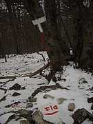 CIMG3315.JPG