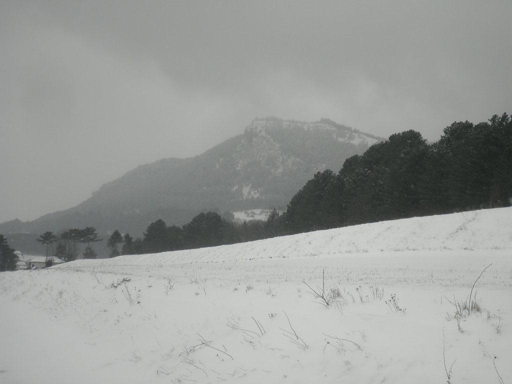 P2100051.JPG