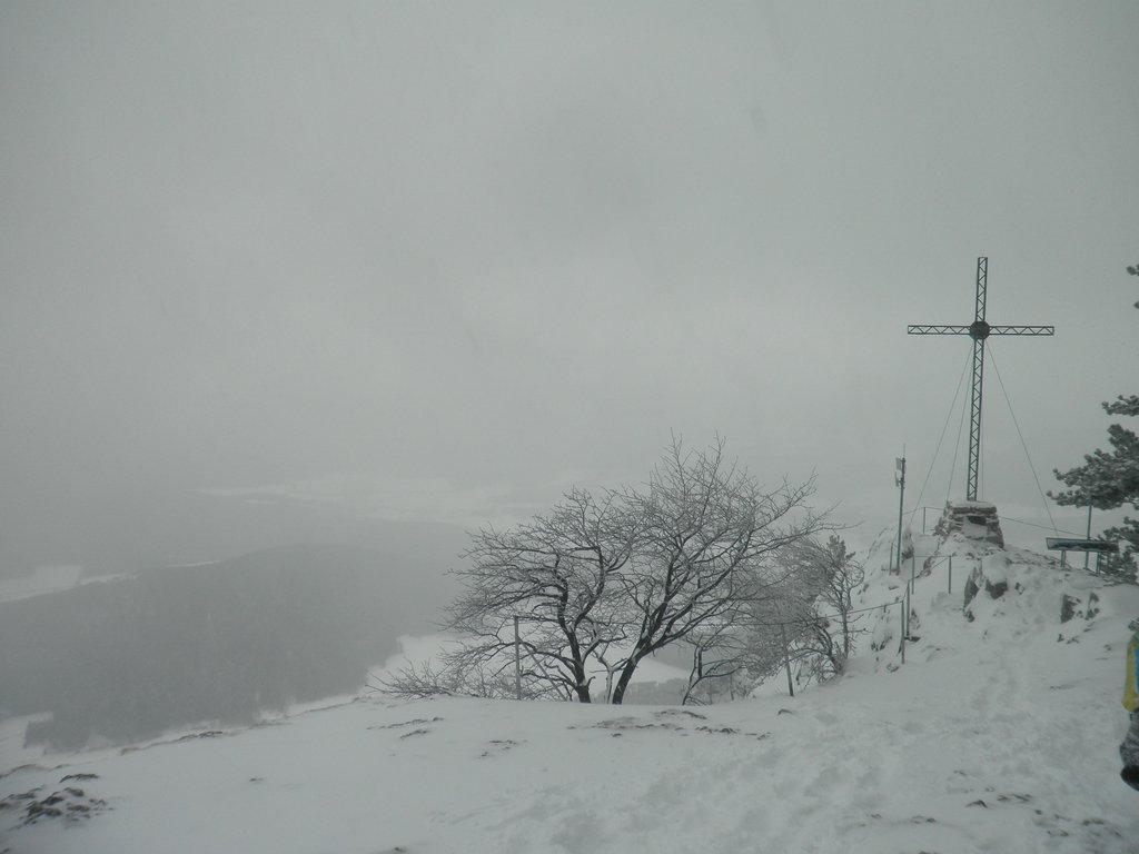 P2100083.JPG