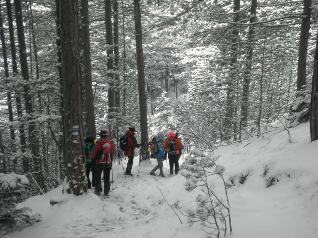 P2100085.JPG