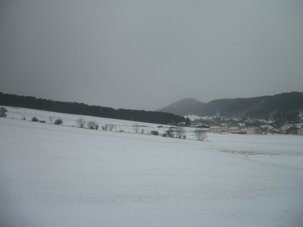 P2100087.JPG