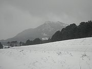 P2100051.JPG
