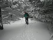 P2100065.JPG