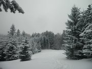 P2100066.JPG