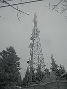 P2100068.JPG