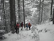 P2100085.JPG